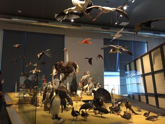 Naturalis Biodiversity Center